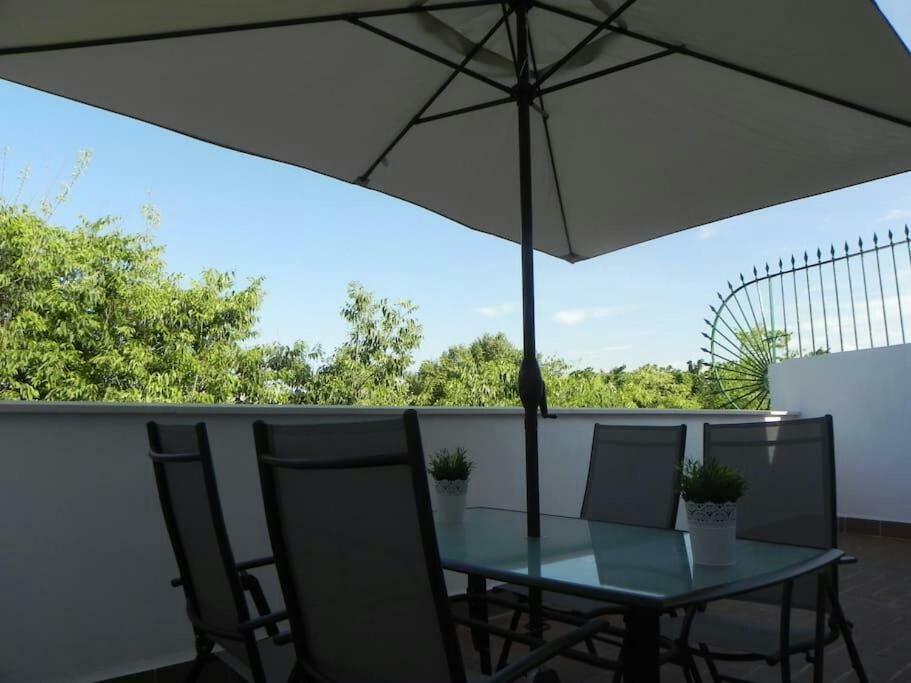 סביליה Atico Con Terraza En Alameda De Hercules מראה חיצוני תמונה