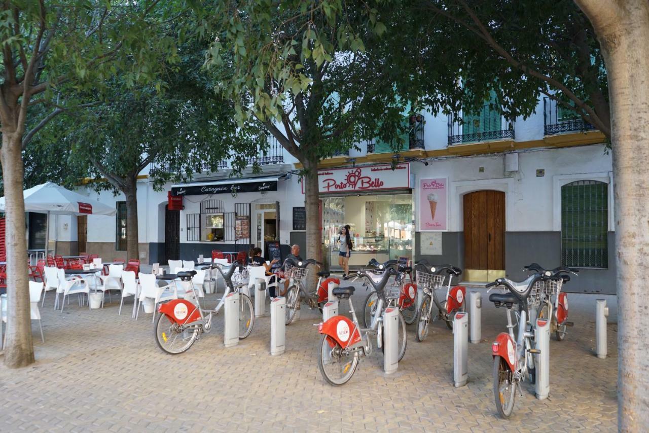 סביליה Atico Con Terraza En Alameda De Hercules מראה חיצוני תמונה
