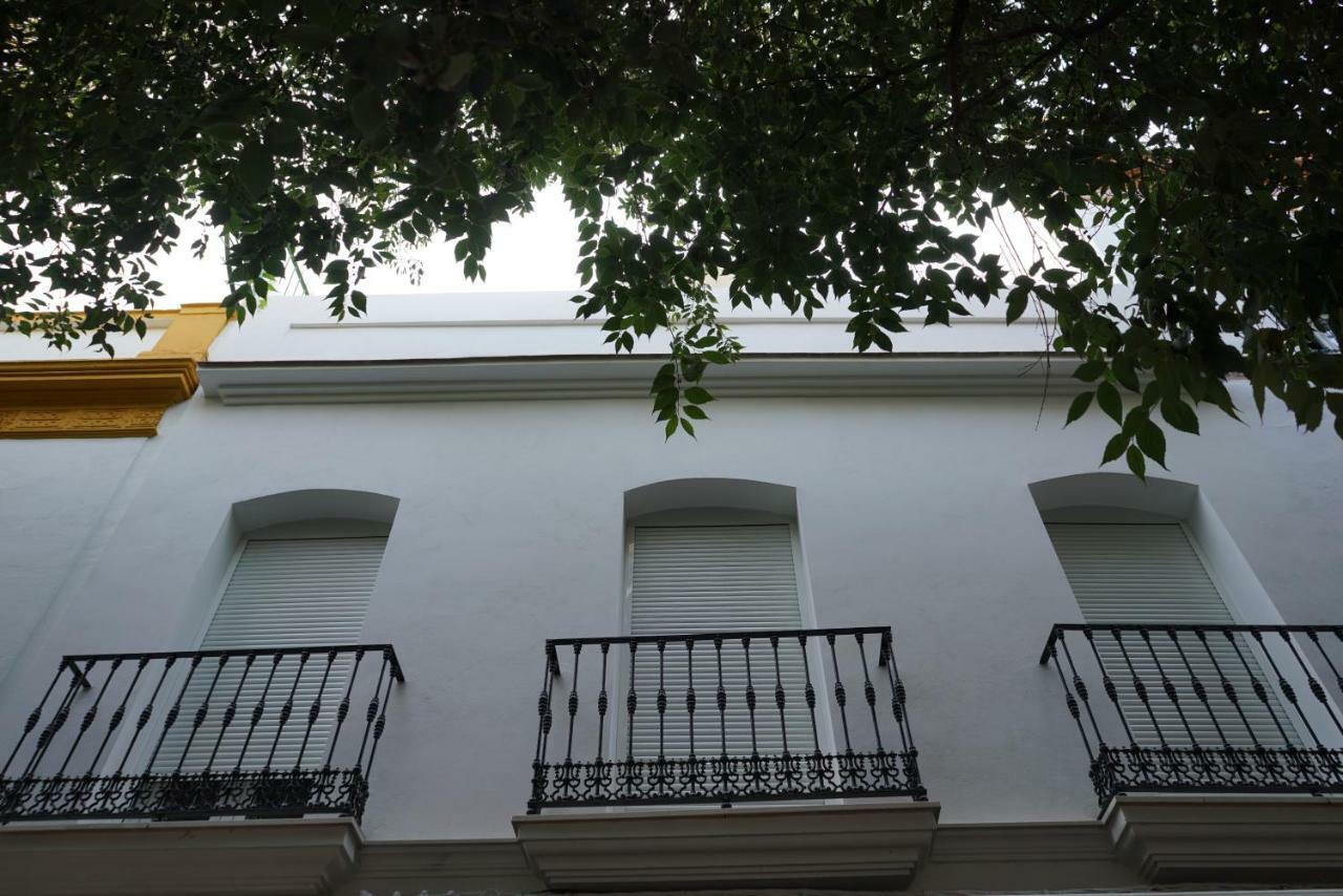 סביליה Atico Con Terraza En Alameda De Hercules מראה חיצוני תמונה